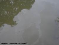 Imagine atasata: Bega - 2014.10.02 - 09.jpg